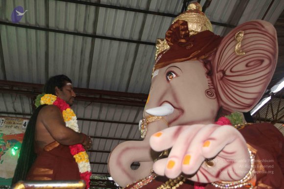 20170816_Photo_1036_IMG_0076_CMP_WM