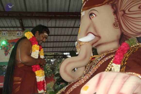 20170816_Photo_1037_IMG_0077_CMP_WM