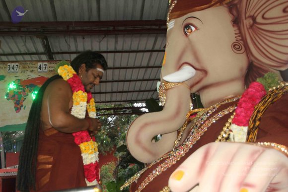 20170816_Photo_1038_IMG_0078_CMP_WM