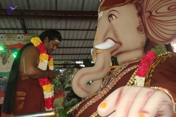 20170816_Photo_1039_IMG_0079_CMP_WM