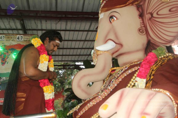 20170816_Photo_1040_IMG_0080_CMP_WM