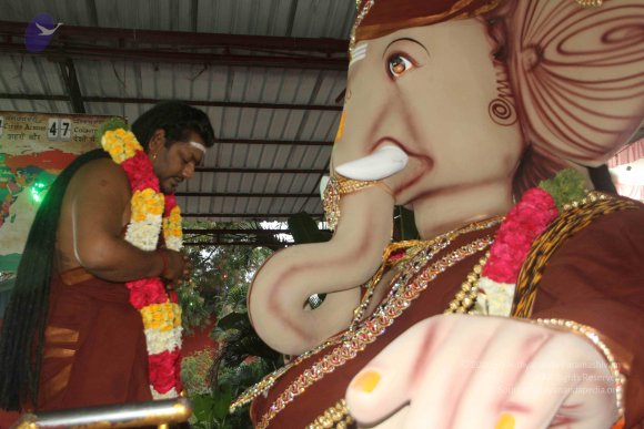 20170816_Photo_1041_IMG_0081_CMP_WM