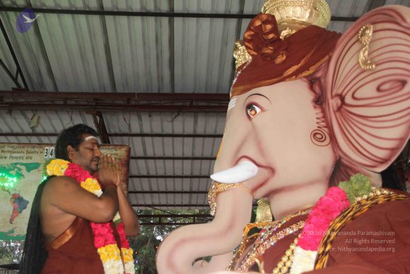 20170816_Photo_1051_IMG_0091_CMP_WM