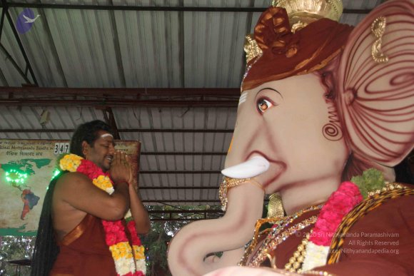 20170816_Photo_1052_IMG_0092_CMP_WM