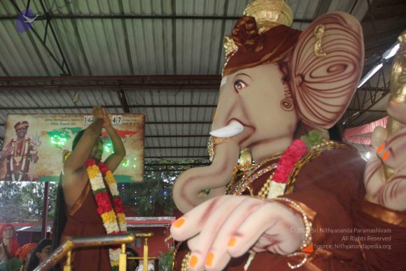 20170816_Photo_1068_IMG_0135_CMP_WM