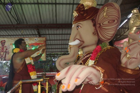 20170816_Photo_1076_IMG_0143_CMP_WM