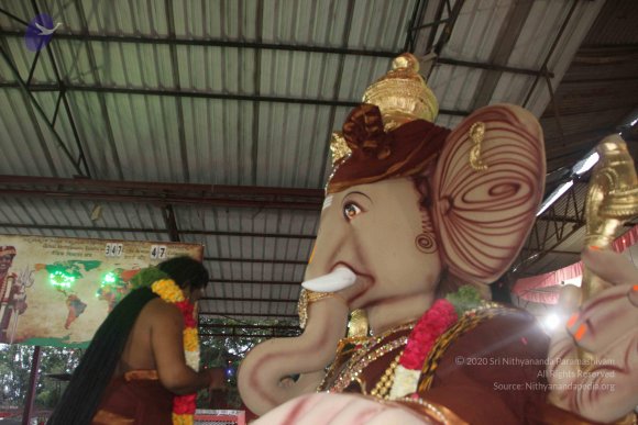 20170816_Photo_1095_IMG_0163_CMP_WM