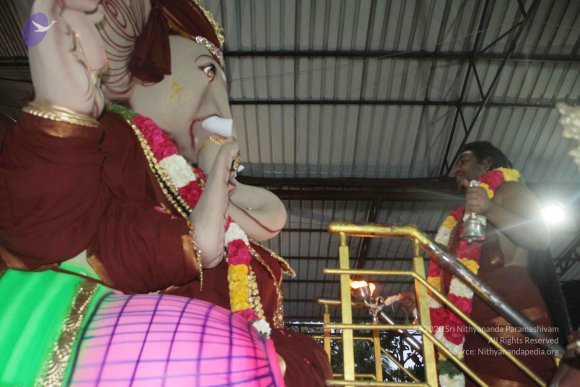 20170816_Photo_1108_IMG_0180_CMP_WM