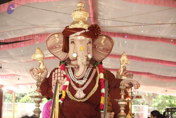 20170816_Photo_1125_IMG_8894_CMP_WM