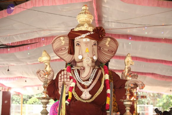 20170816_Photo_1126_IMG_8895_CMP_WM