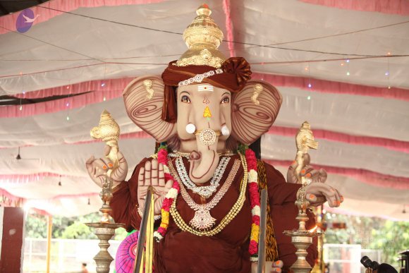 20170816_Photo_1127_IMG_8896_CMP_WM