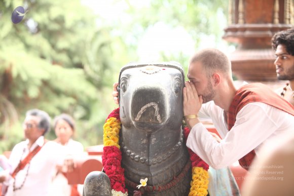 20170816_Photo_1128_IMG_8900_CMP_WM