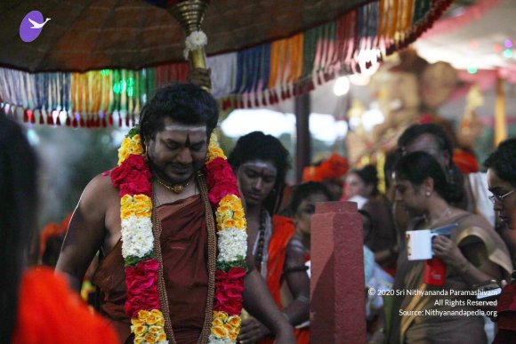 20170816_Photo_1140_IMG_8929_CMP_WM