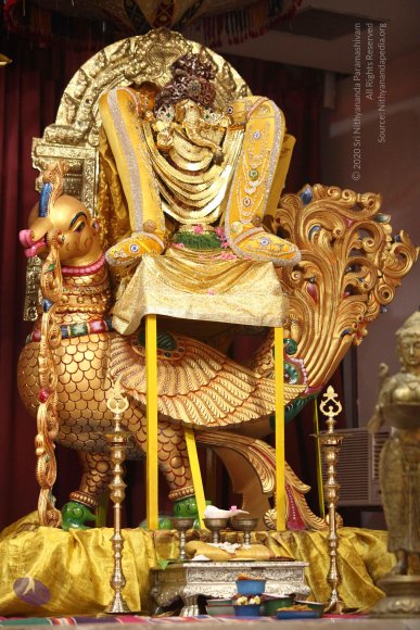 20170818_Photo_1013_IMG_9387_CMP_WM