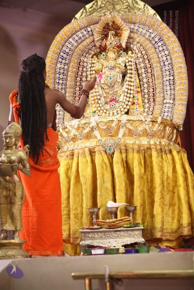 20170819_Photo_1013_IMG_9419_CMP_WM