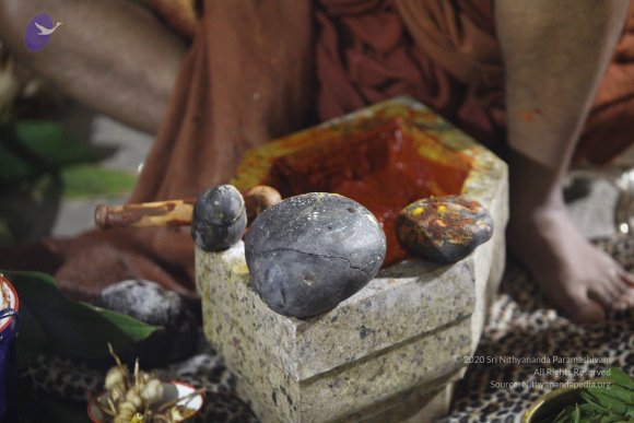 01--first-aushada_Photo_1182_IMG_0879_CMP_WM