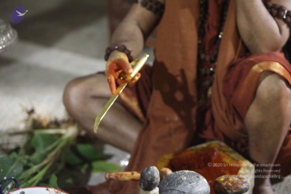 01--first-aushada_Photo_1183_IMG_0883_CMP_WM