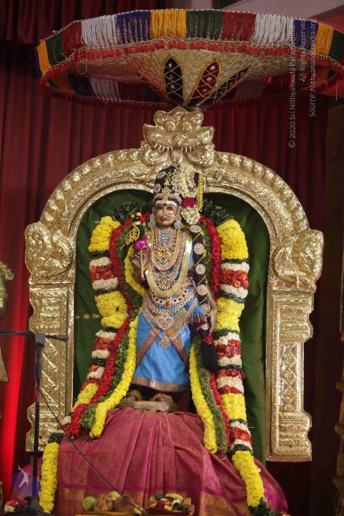 20171201_Photo_1026_IMG_8701_CMP_WM