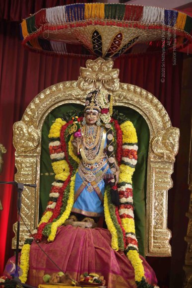 20171201_Photo_1027_IMG_8702_CMP_WM