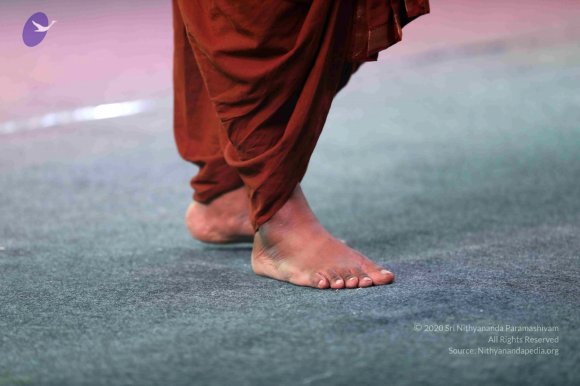 20171216_Photo_1361_7T7A1869_CMP_WM