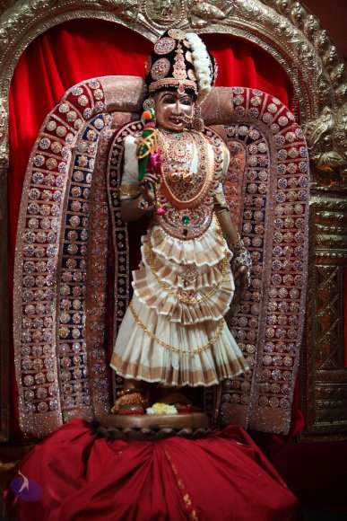 20171223_Photo_1076_IMG_8358_CMP_WM