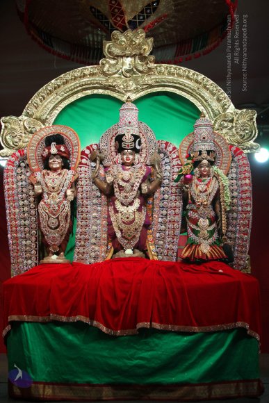 20171223_Photo_1078_IMG_8445_CMP_WM