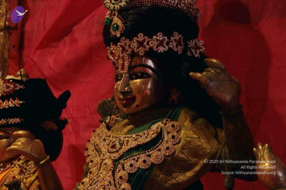 20171223_Photo_1004_IMG_0027_CMP_WM