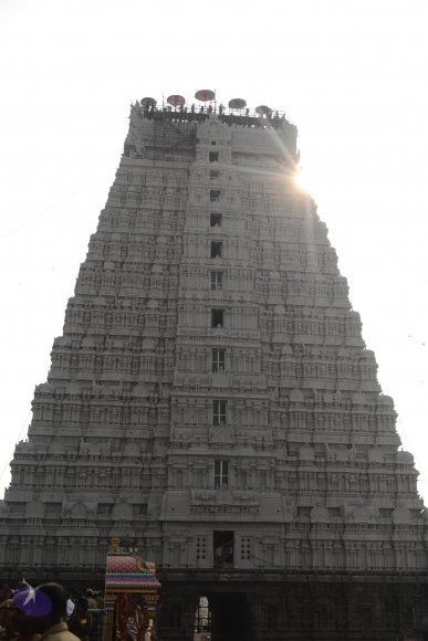 20170206_Photo_1014_DSC_9465_CMP_WM