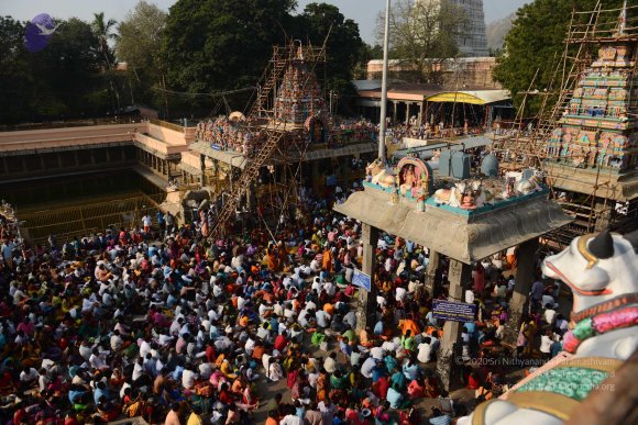 20170206_Photo_1015_DSC_9478_CMP_WM