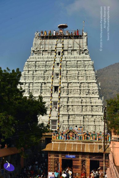 20170206_Photo_1016_DSC_9490_CMP_WM