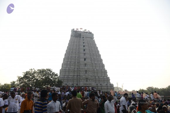 20170206_Photo_1017_DSC_9501_CMP_WM