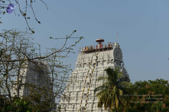 20170206_Photo_1018_DSC_9516_CMP_WM