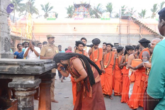 20170206_Photo_1026_DSC_9716_CMP_WM