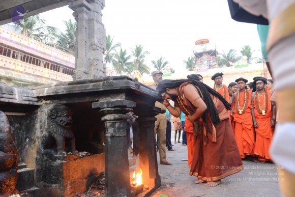 20170206_Photo_1027_DSC_9724_CMP_WM