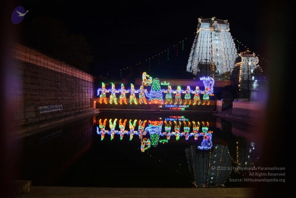 20170206_Photo_1032_DSC_9918_CMP_WM