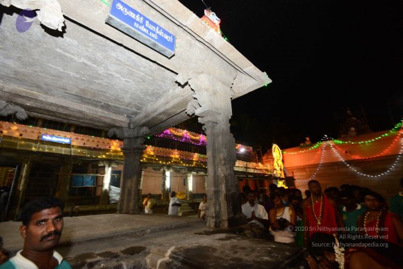 20170206_Photo_1001_DSC_0116_CMP_WM