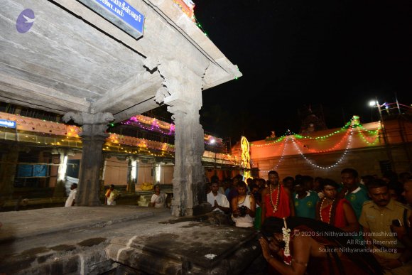 20170206_Photo_1002_DSC_0117_CMP_WM