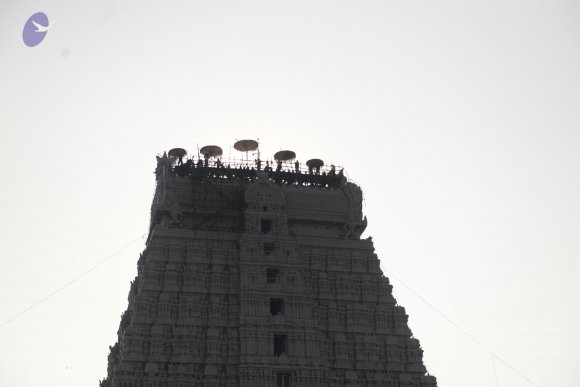 20170206_Photo_1004_DSC_9438_CMP_WM