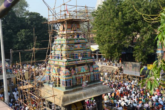 20170206_Photo_1005_DSC_9442_CMP_WM