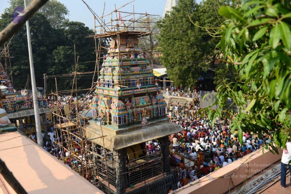 20170206_Photo_1007_DSC_9447_CMP_WM