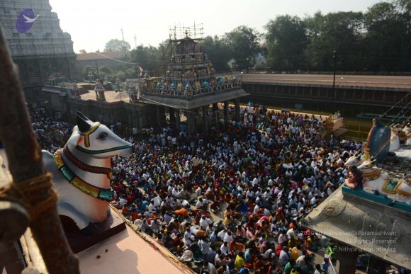 20170206_Photo_1008_DSC_9456_CMP_WM