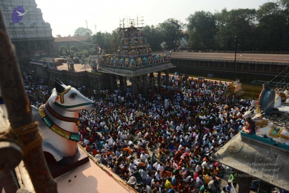 20170206_Photo_1010_DSC_9458_CMP_WM