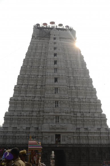 20170206_Photo_1011_DSC_9469_CMP_WM