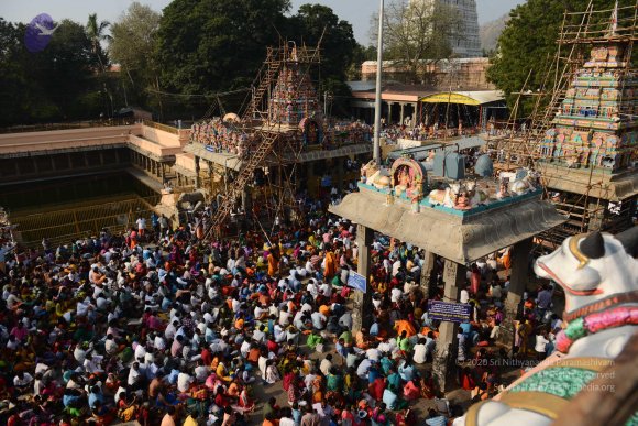 20170206_Photo_1013_DSC_9475_CMP_WM