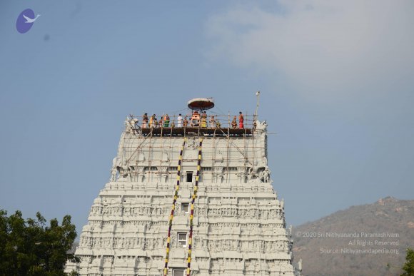 20170206_Photo_1014_DSC_9479_CMP_WM