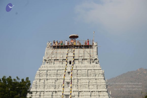 20170206_Photo_1015_DSC_9481_CMP_WM