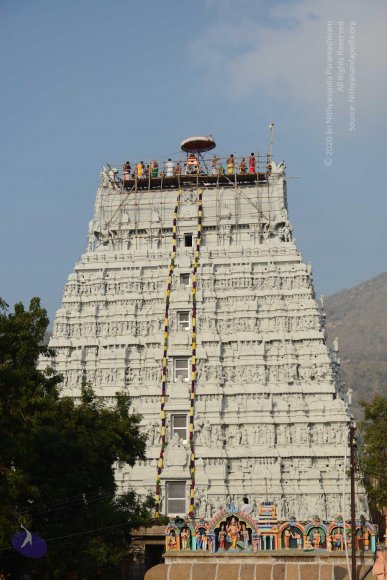 20170206_Photo_1017_DSC_9488_CMP_WM