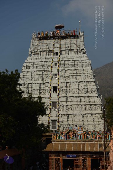 20170206_Photo_1018_DSC_9491_CMP_WM