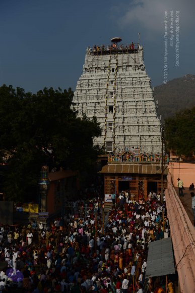 20170206_Photo_1019_DSC_9495_CMP_WM