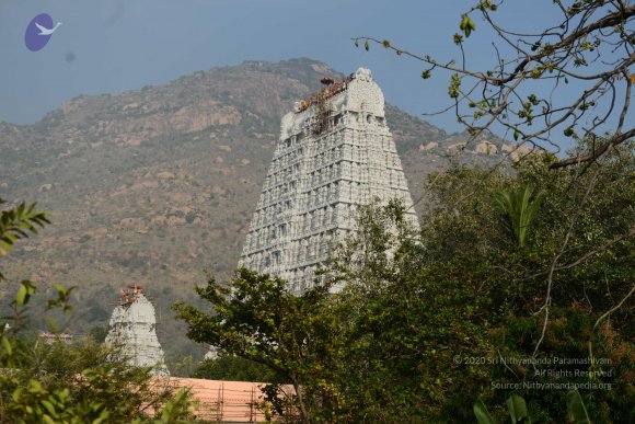 20170206_Photo_1027_DSC_9511_CMP_WM